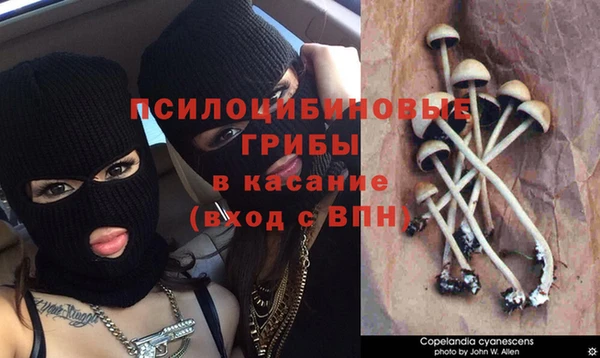 шишки Яранск