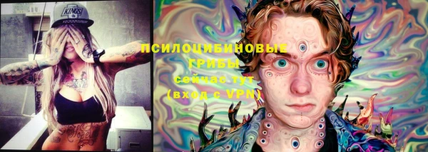 шишки Иноземцево