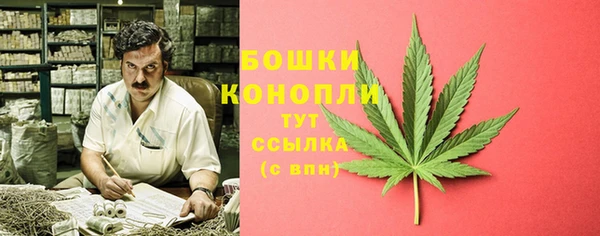 шишки Яранск