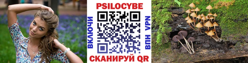 Галлюциногенные грибы прущие грибы  Купить где  Тында 